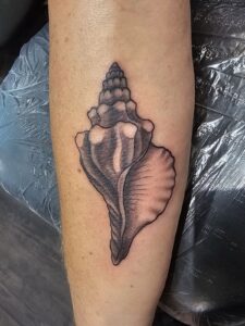 conch shell tattoo