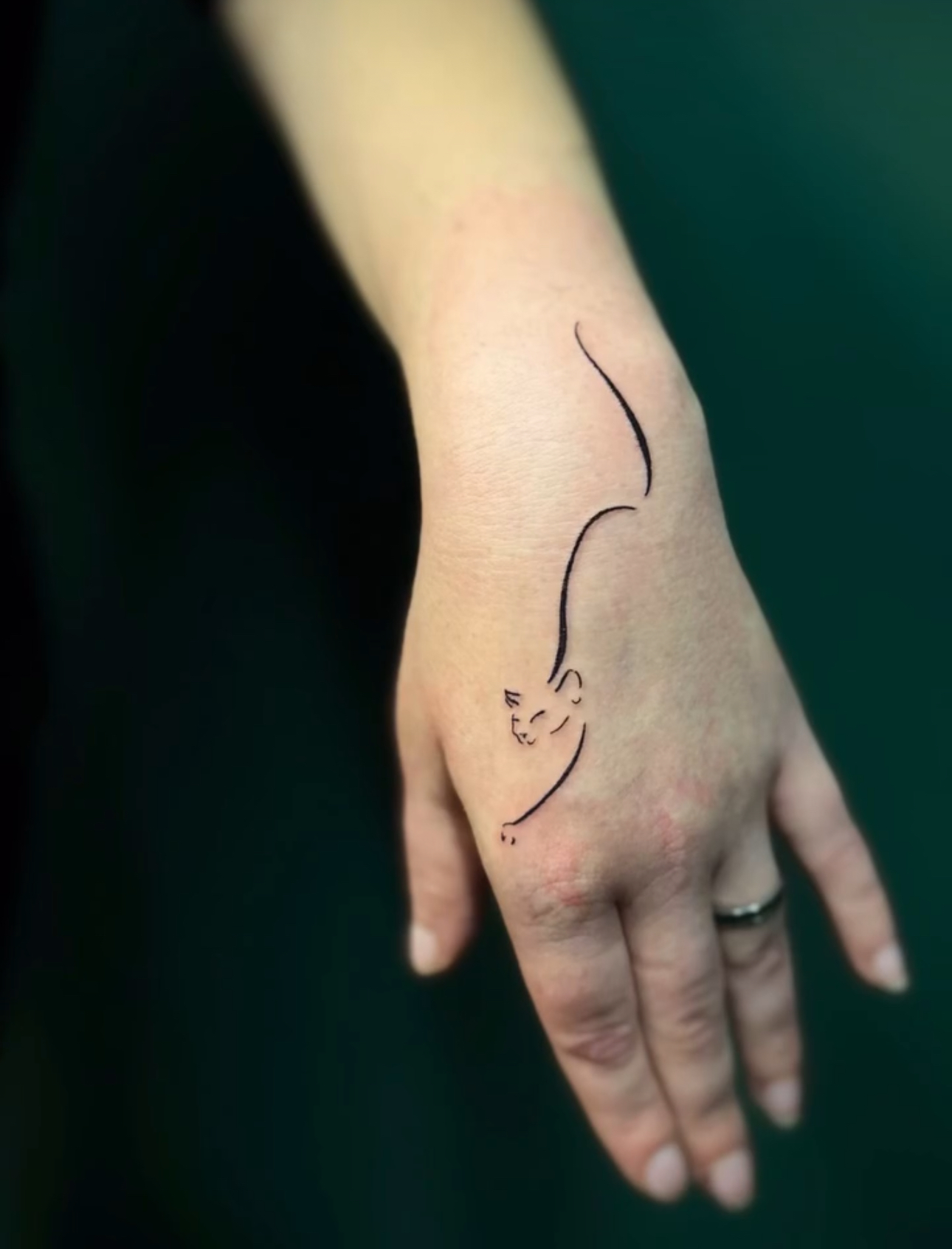 a fine line cat tattoo on hand
